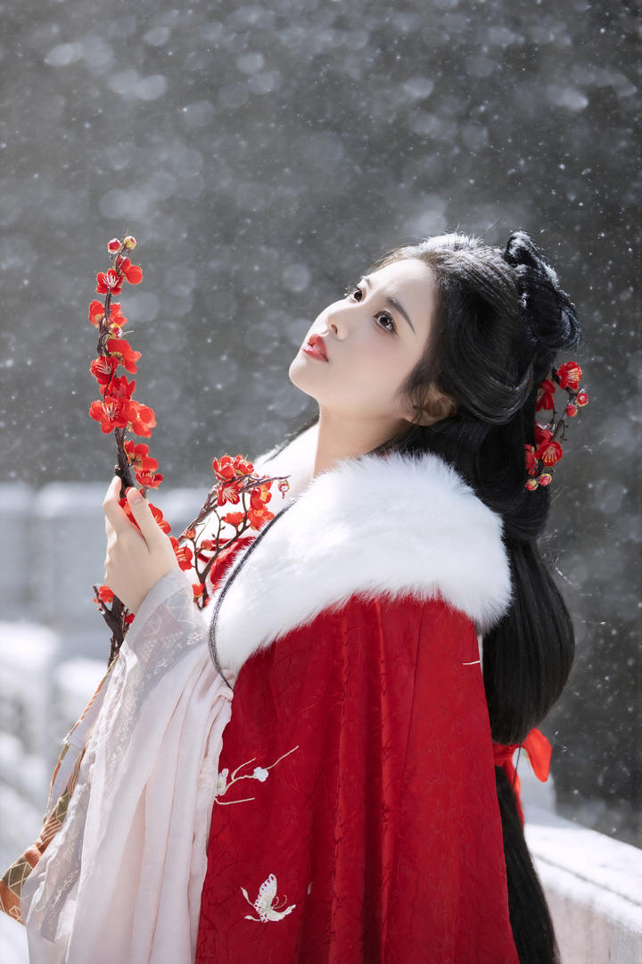 踏雪寻梅的古装美女壁纸图片