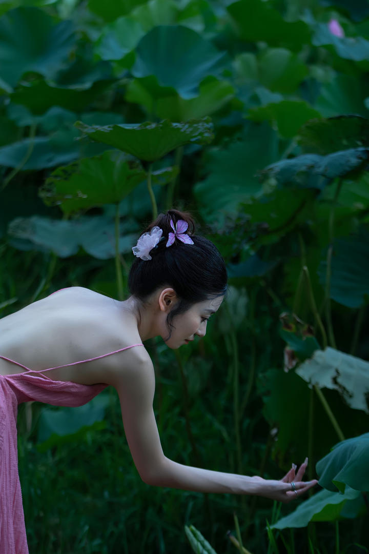 中国古装美女荷花池写真