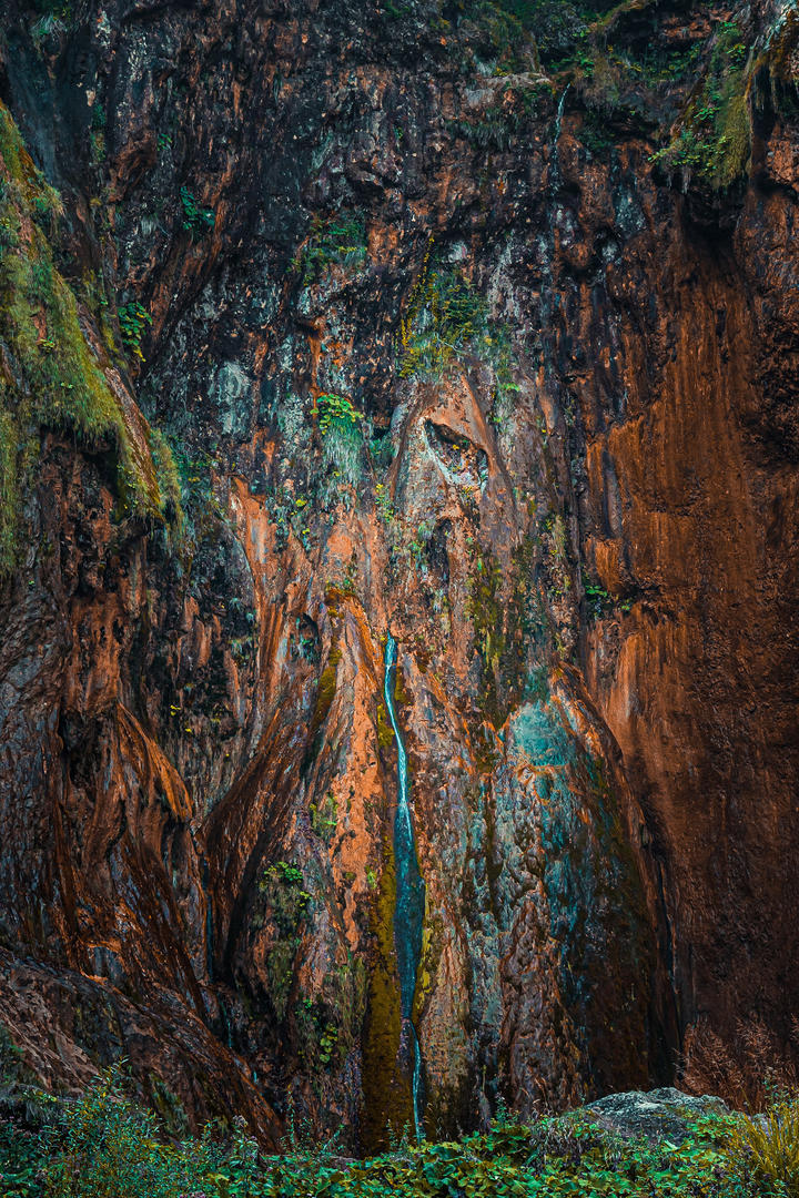 超高清森林里的悬崖风景壁纸图片